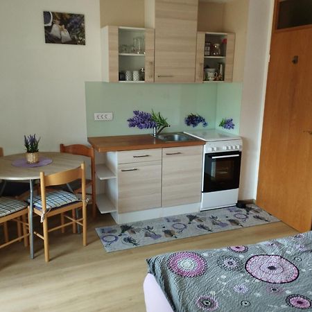 Apartmaji Verica Ceklin Бохінь Екстер'єр фото