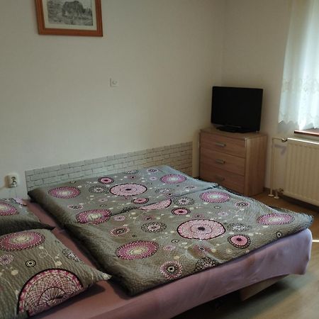 Apartmaji Verica Ceklin Бохінь Екстер'єр фото