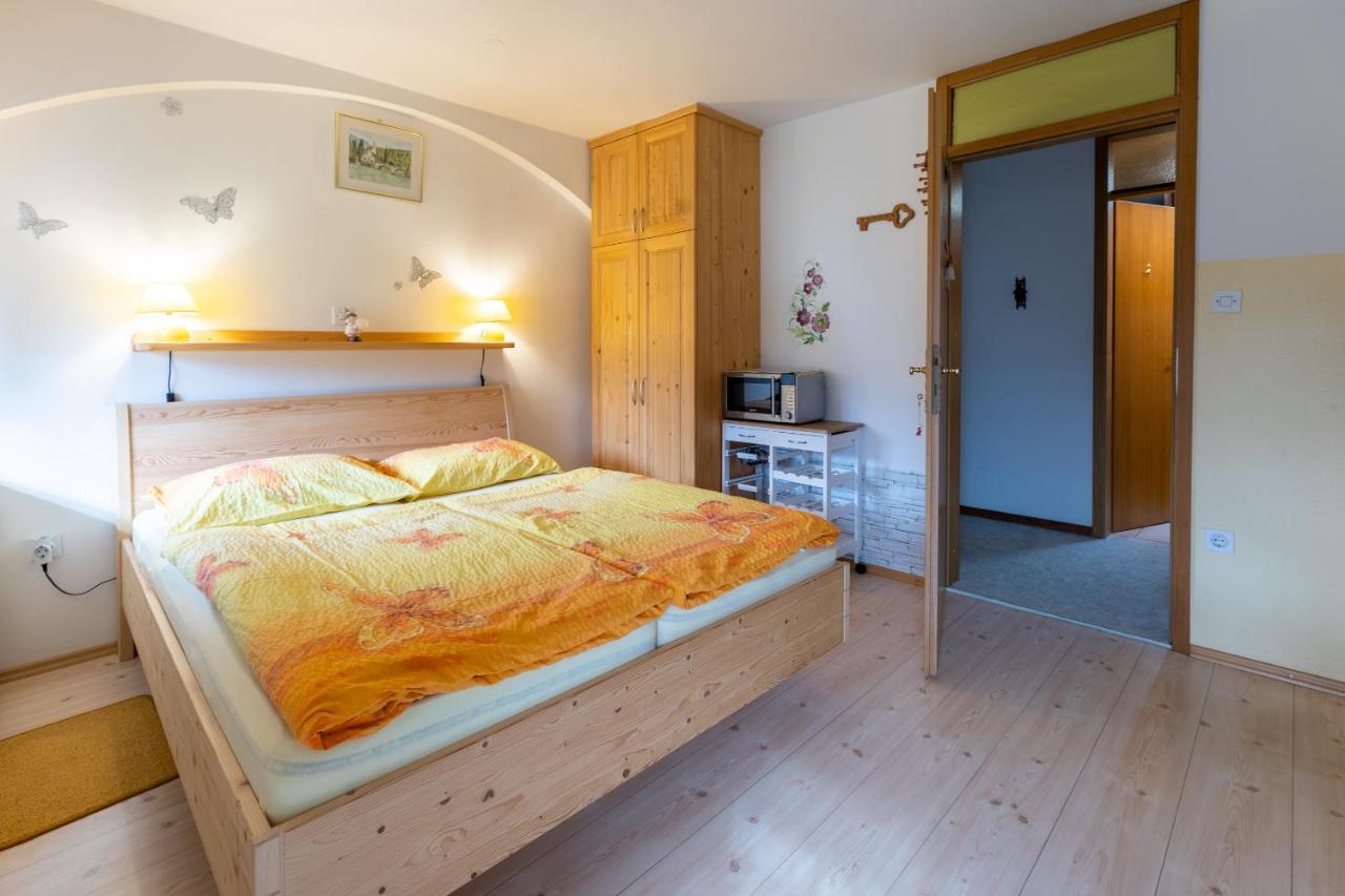 Apartmaji Verica Ceklin Бохінь Екстер'єр фото